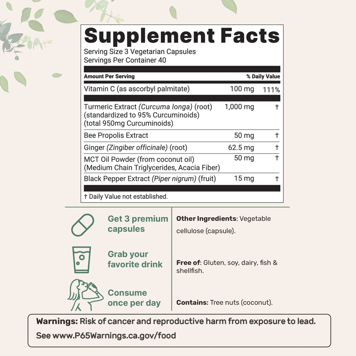 Micro Ingredients Turmeric Curcumin 1,000mg | 95% Curcuminoids with Black Pepper & MCT Oil for Ultimate Absorption, No Filler, No GMO - 120 Vegetarian Capsules