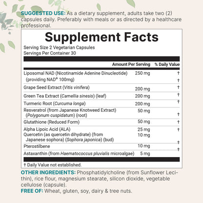 Micro Ingredients Liposomal NAD+ Ultimate 1,000mg, 60 Veggie Capsules